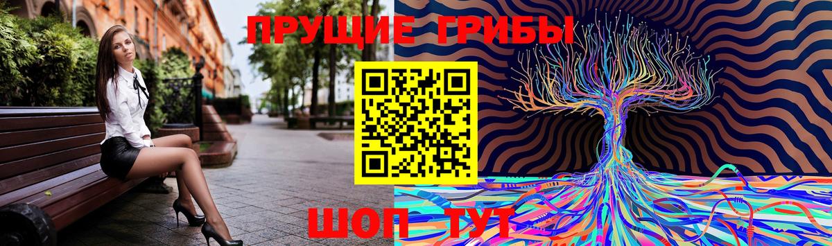 Псилоцибиновые грибы Cubensis  Вход с VPN  Мичуринск 