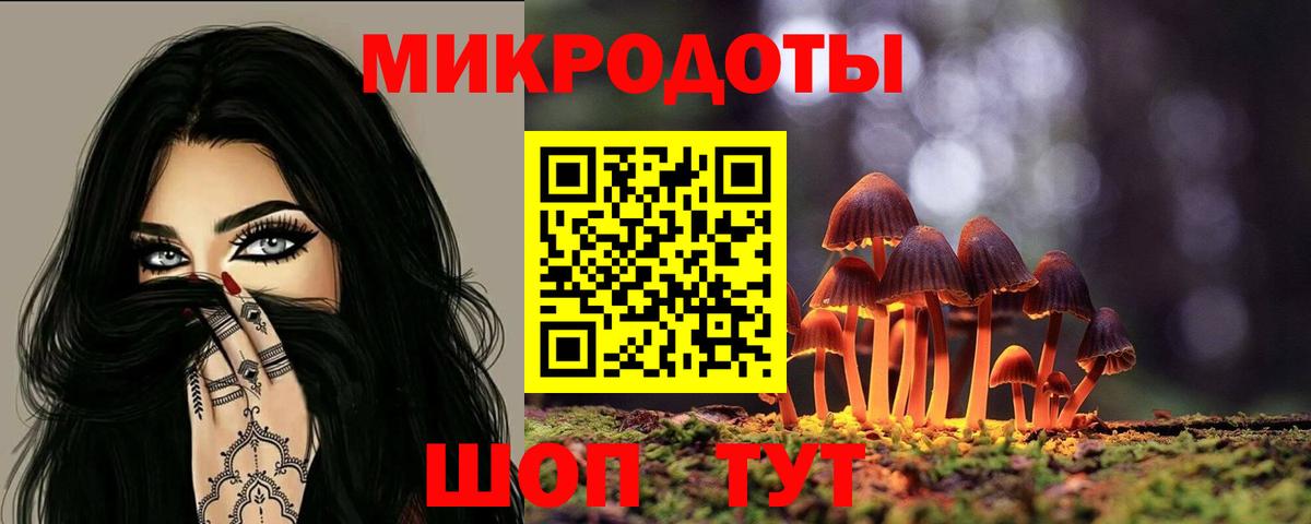 Псилоцибиновые грибы мицелий Мичуринск